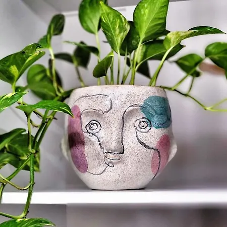 Micasatucasa 地拉那